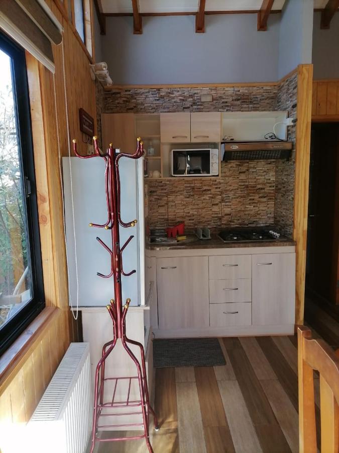 Cabanas Mister Nelson Вальдивия Экстерьер фото